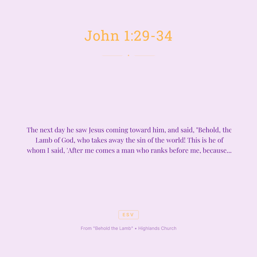 The next day he saw Jesus coming toward him, and said, "Behold, the Lamb of God, who takes away the sin of the world! This is he of whom I said, 'After me comes a man who ranks before me, because he was before me.' I myself did not know him, but for this purpose I came baptizing with water, that he might be revealed to Israel." And John bore witness: "I saw the Spirit descend from heaven like a dove, and it remained on him. I myself did not know him, but he who sent me to baptize with water said to me, 'He on whom you see the Spirit descend and remain, this is he who baptizes with the Holy Spirit.' And I have seen and have borne witness that this is the Son of God."